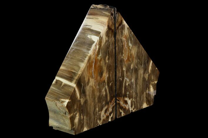 Petrified Wood Bookends - Oregon #125076